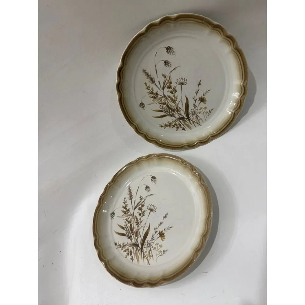 Mikasa Manor House Autumn Breeze Cream Brown Floral Scalloped 2 Dessert Plates